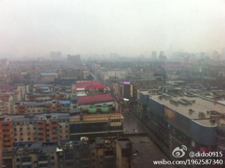 ������Ϯ������ɢ �����������ֵ�����ӭ��ѩ