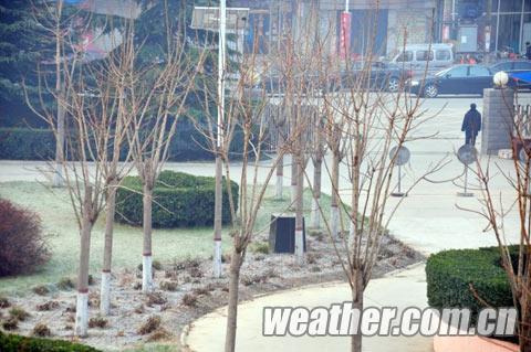 �����������Ϯ �ӱ�ӭ��罵������