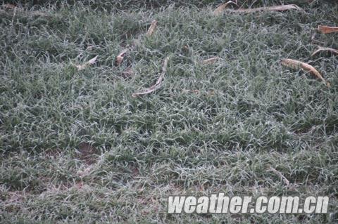 �����������Ϯ �ӱ�ӭ��罵������