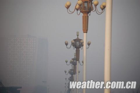 �������Ϯ �ӱ����������������