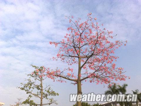 ȫ�������¼������� ��������ӭ�����