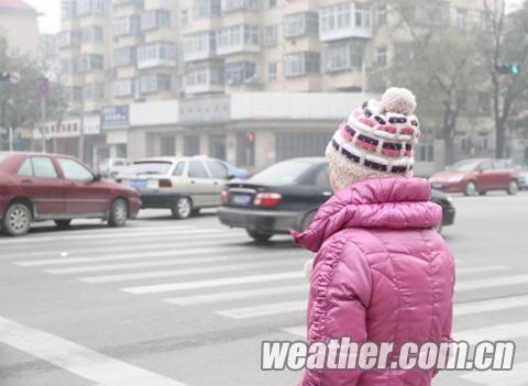 �ӱ���������Ԥ���뷢 ʯ��ׯ��ҹ��ӭ��ѩ