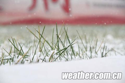 �ӱ�ӭ����Χ��ѩ ����̨������ѩ��ɫԤ��