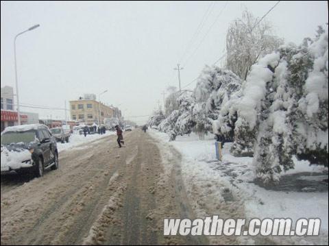 ���ɹŶ�ؽ���ѩ����ͼ��