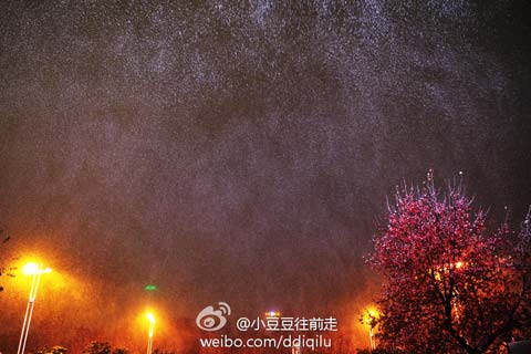 ������ҹ�ߵ���ѩ  ����ȫ���б���