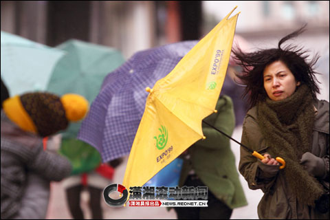 ���ϡ�һҹ�䶬�족 ǿ�����Ӱ�콥��β��