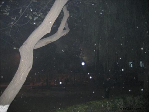 ������ѩ����Ȼ����