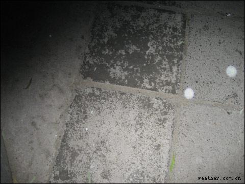 ������ѩ����Ȼ����