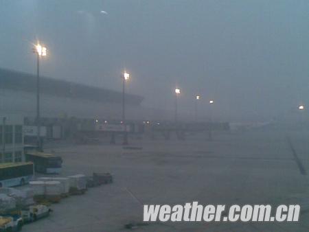 �����󲿽��������� ������������Сѩ