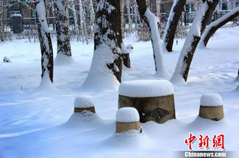 �½�������ѩ����������欶���