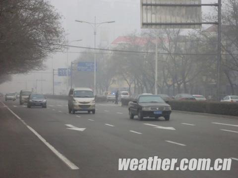 �������Ϯ������ɢ �ӱ�������������