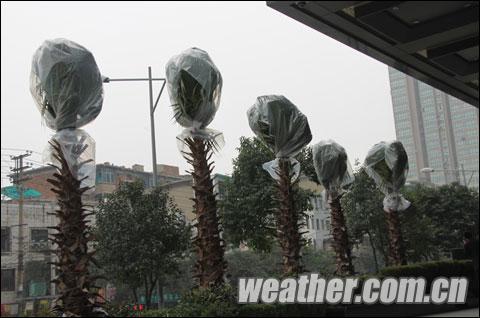 ���ݸ��ء��䡱�ֵ�ͷ ������ӭ������ѩ����