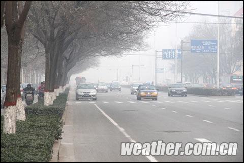 �ӱ���������� ����������ա�������