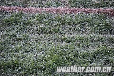 �ӱ����������¹�Ƶ�� δ�������罵��������