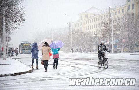 ȫ�������������� ��������ѩ��������