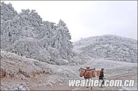 ���ݺ����ݸ���� δ���������»���