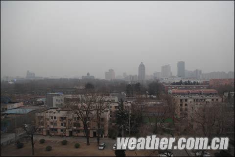 �������붬������ �����������ɵ��� 