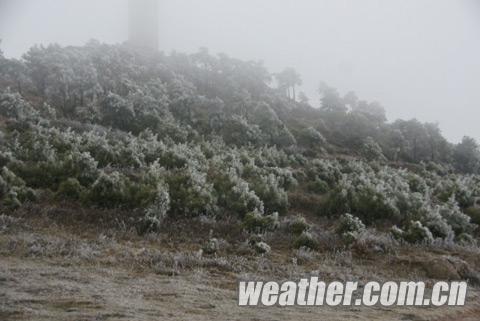 ǿ�����Ϯ���� �����ȵ�����������ѩ����