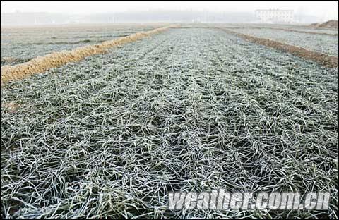 �ӱ������������ δ��һ�ܶ��������