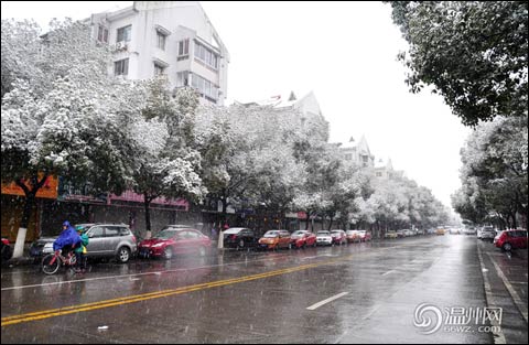 �㽭�ϲ���ѩƮ ��������̨������ѩԤ��