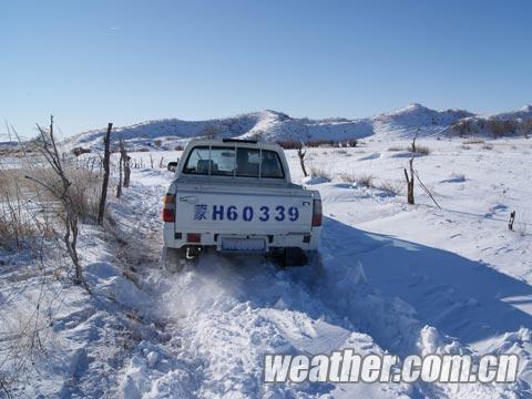 ���ɹš�С��������� 8����ӭ����