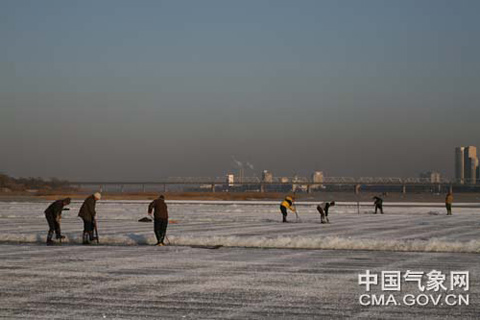 ������������ ��������ƶѩ��