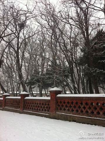 大连降下新年第二场雪