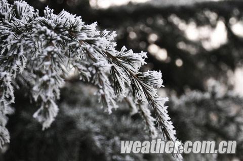 �ӱ���������ڡ��������ͼ��