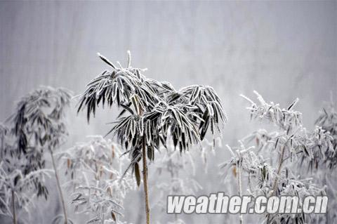 �ӱ���������ڡ��������ͼ��