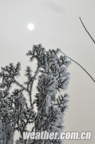 �ӱ���������ڡ��������ͼ��