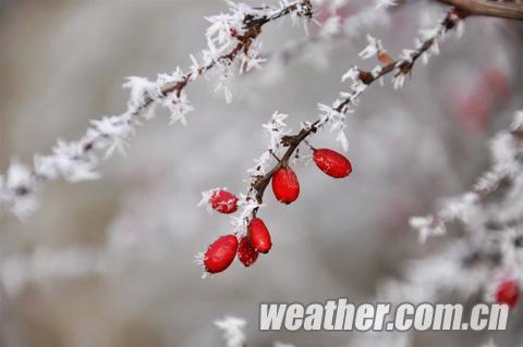 �ӱ���������ڡ��������ͼ��