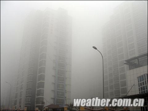 山东多地大雾弥漫 气象台发布预警(组图)