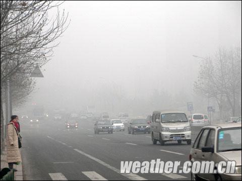 山东多地大雾弥漫 气象台发布预警(组图)