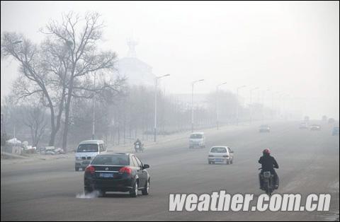 山东多地大雾弥漫 气象台发布预警(组图)