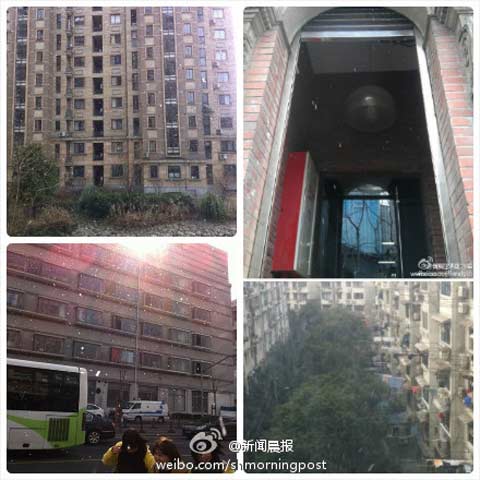 上海今日午后飘落太阳雪 网友调侃专家解惑