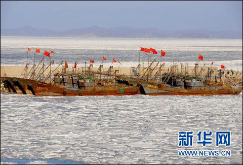 逾三分之一渤海成“冰海”(组图)