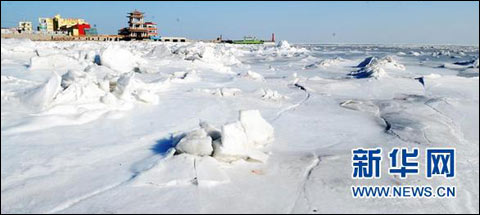逾三分之一渤海成“冰海”(组图)