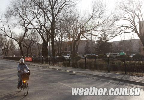 这个“五九”冷过“三九” 京城本周末温暖再现