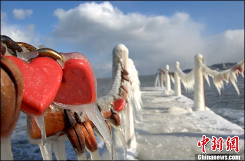 烟台滨海景区现“冰封铁索”奇观(组图)