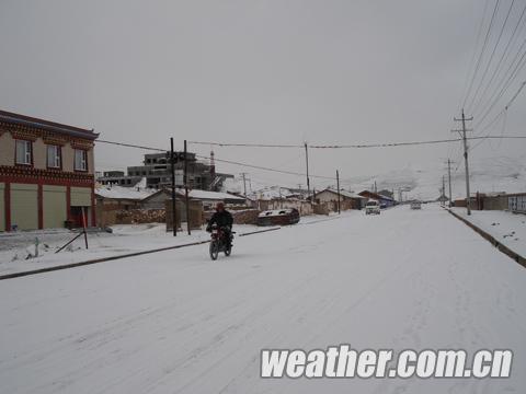 青海甘德遭遇重度雪灾 牲畜艰难觅食