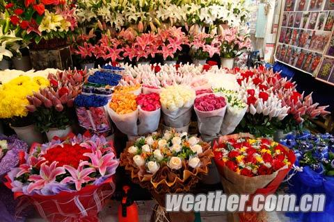 天气因素是否催高情人节鲜花价格?