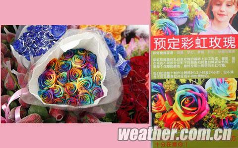 天气因素是否催高情人节鲜花价格?