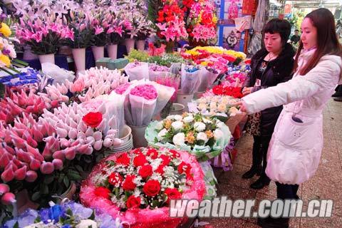 天气因素是否催高情人节鲜花价格?