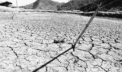 �����ļ�����Ӧ����Ӧ���� �������ʡ����