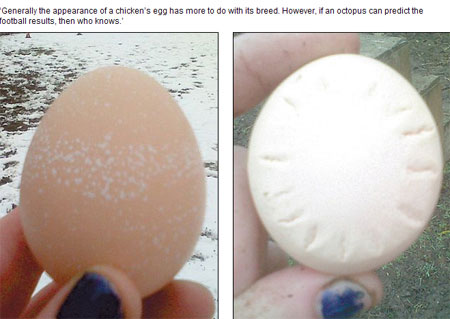 Ӣ��һĸ���µ���Ԥ�������� ���ǻ��Ƴɡ��������