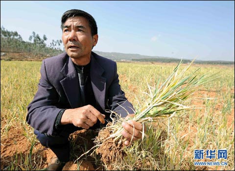 云南四川降水持续偏少 旱情愈加突显