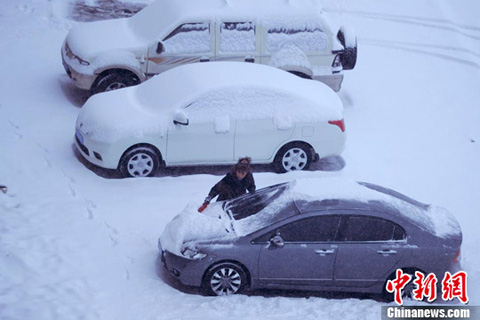 �½�������ѩƵ�� �Ϸ���Χ�������