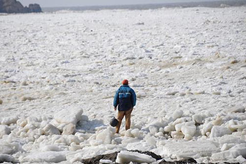 �Ʋ����������򺣱��ڻ� ���������ӿ�ϰ���