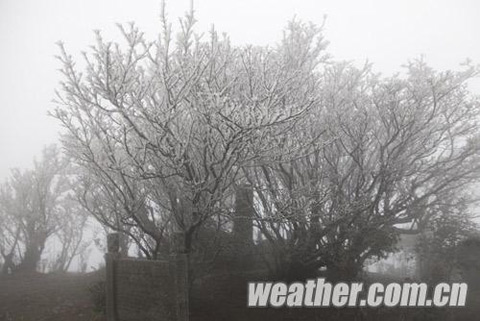 湖南局地现雾凇 未来一周全省仍多阴雨