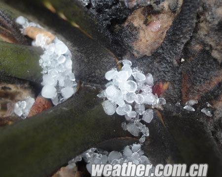 ���չ�����������һ������ ���ֱ��� ��̨ͬ����